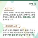 🌳독서논술🌳 반드시 챙겨야하는 문해력 논란의 단어! 이미지