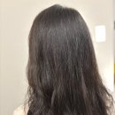 돌콩헤어 이미지