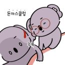 돈까스클럽 거여점 네이버블로그