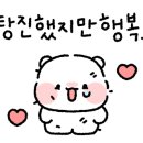 플디앤코 이미지