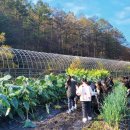 산모랭이풀내음 이미지