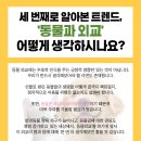 냥냥이세상 이미지