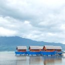 포보 허수아비 | 베트남 다낭&amp;호이안 여행 #3 (후에투어, 코바포보, 콩카페 1호점, 빅씨마트, 하이반터널, 후에왕궁...