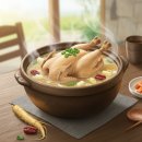 을-130 | 한 그릇이면 여름 더위 끝! 전국 삼계탕 맛집 총정리