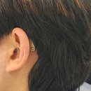 와이덱스보청기 이미지