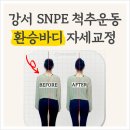 환승바디 이미지