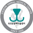 죽전동물메디컬센터 이미지