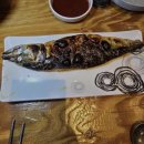 오징어 세상 이미지