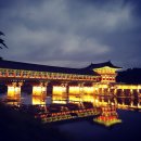 순천-62호 이미지