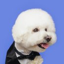 달링동물병원 이미지