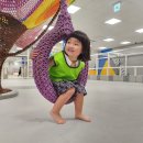 찬희농장 이미지