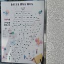 솔섬노을 | 사천 오션뷰/노을맛집 캠핑장 추천 l 솔섬오토캠핑장