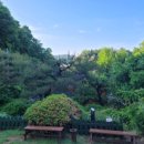 한국민속촌수영장 이미지