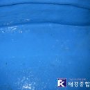 태경종합관리 이미지