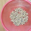 부자농장3 이미지