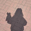 양평칼국수 | 볕뉘