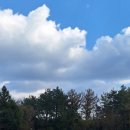 제이큐브 펜션 이미지