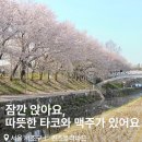 양재천 피크닉 맛집 추천 🌸 매봉역 타코 브리또 퀸즈블러바드 후기