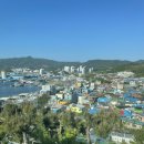 묵호잠자리 이미지