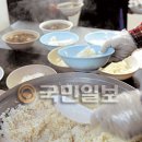 가교세