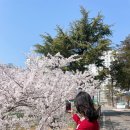 소영길 13 네이버블로그