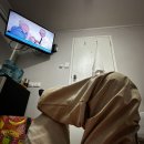 의리농장 | 호주워홀 : 힐스톤 - 세컨써드 지역 워커 숙소 쓰는 시골 농장러의 퇴근 후 일과