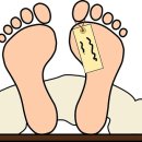 주식회사 하이닥 이미지