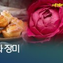 투게더국제결혼 이미지