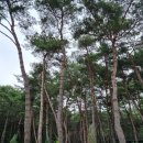 CU거창점 이미지