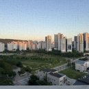 양영학원 | 대전 신혼부부 아파트 임장 후기: 도안 2단지, 6단지, 7단지, 문지동 효성해링턴