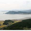 별량그린 이미지