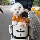 감귤박물관 위 이미지