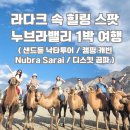 산들약국 | [라다크 여행] 경이로운 자연 누브라밸리 1박 여행 : 샌드듄 낙타투어, 캠핑 캐빈 Nubra Sarai 숙소...