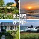 댕댕라운지 | 🐶 5월, 댕댕이랑 어디 갈까? 춘천·태안·경주·제주 동반 여행 코스 완벽 가이드! feat. 댕댕여행 챌린지