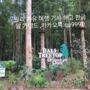 트리탑