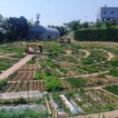 임차랑농장 이미지