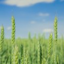 다해건축사사무소 이미지