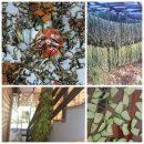 골짜기농장 이미지