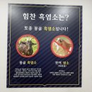 힘찬흑염소 이미지