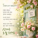 5월 1일(금) 5월 첫날을 맞이하여 5월과 노인과 문제관련된 얘기 분석 이미지