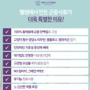 뉴트로웰 | 고양이 사료 추천받은 웰썸 그레인프리 곤충사료 기호성 실패 솔직후기