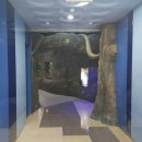 대전아쿠아리움 이미지