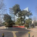 리움홀 | 성남 야탑 밝은홀 더 바실리움 웨딩홀 하객 후기