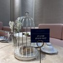 더 퀸(The Queen) | w 13. 포항 예식장 더 퀸 본식 A부터 Z까지 솔직후기