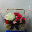 수정-135 이미지