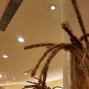 마르코호텔 이미지