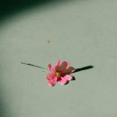 ㈜남산밥고리 | Ep.50 : 저 아세요? 저 아시냐고요