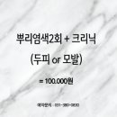 젤라미용실 - 은평구 | 젤라미용실