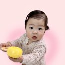 필 모션 이미지