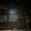 [트랜드 LAB]물의 자리, 돌 풀 바람&#39; 관람후기